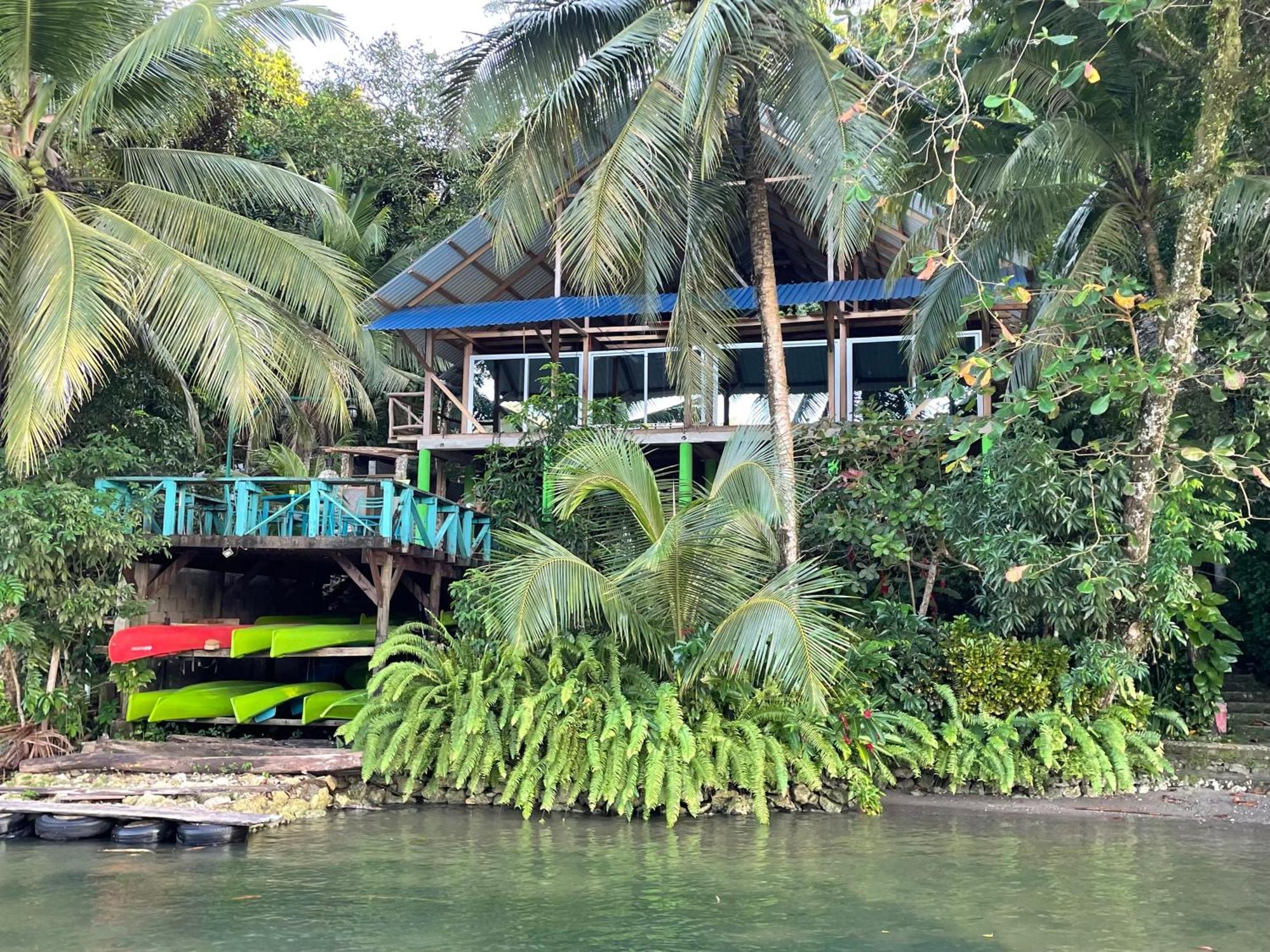 Palmeras Del Rio Hotel La Vina Buitenkant foto