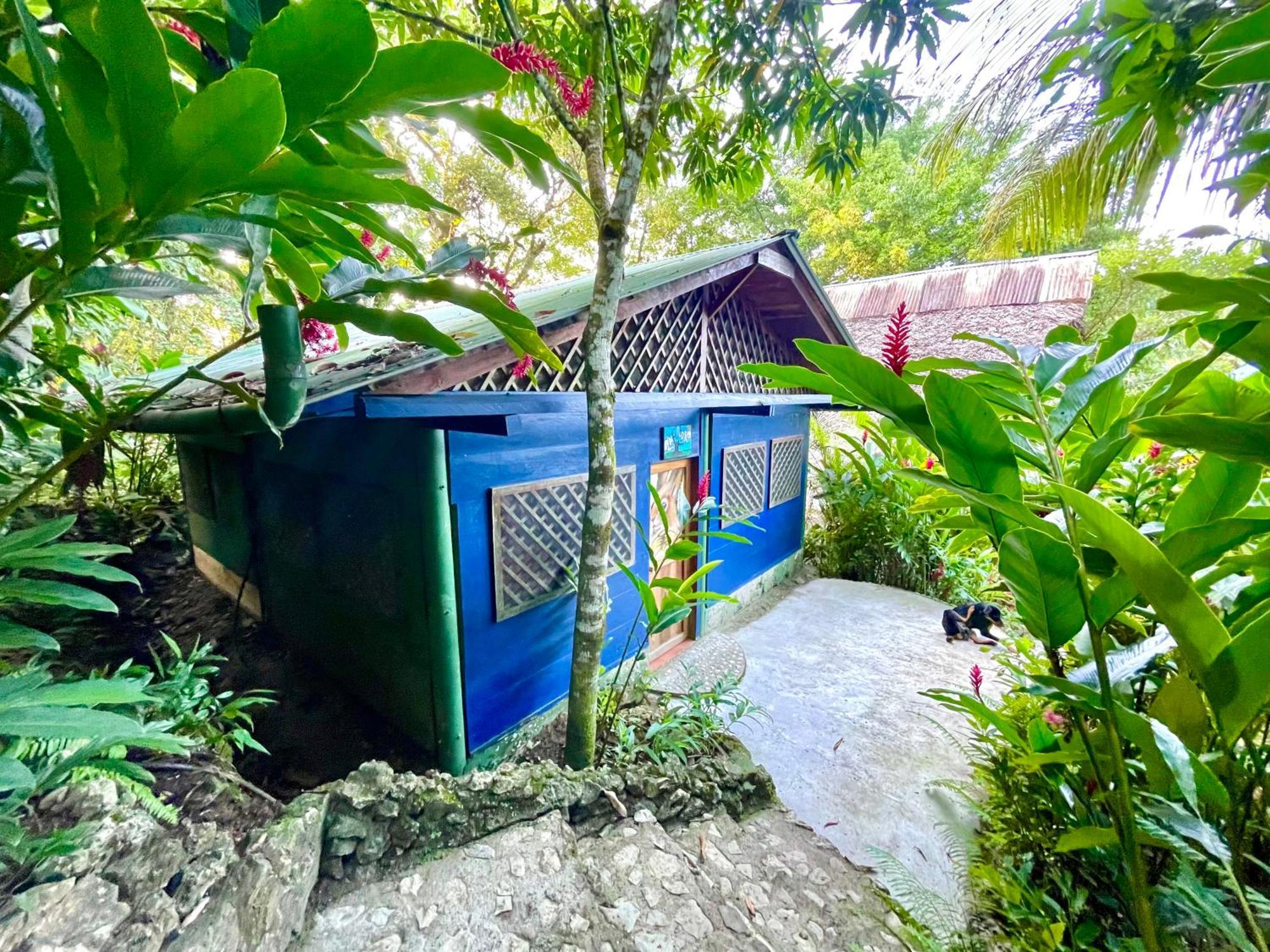 Palmeras Del Rio Hotel La Vina Buitenkant foto