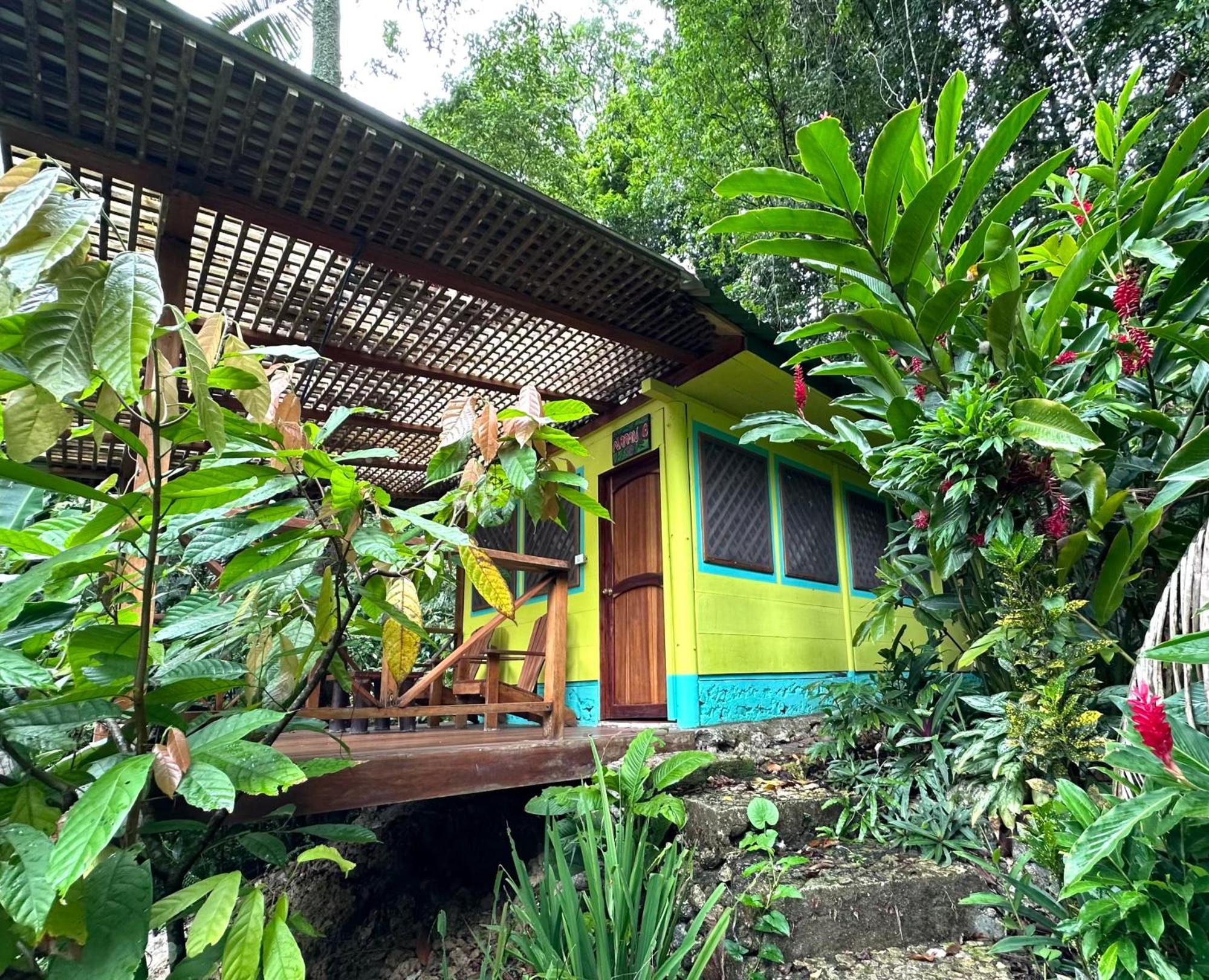 Palmeras Del Rio Hotel La Vina Buitenkant foto