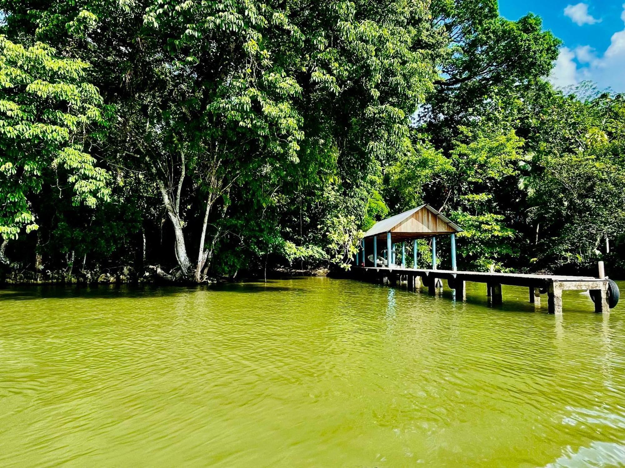 Palmeras Del Rio Hotel La Vina Buitenkant foto
