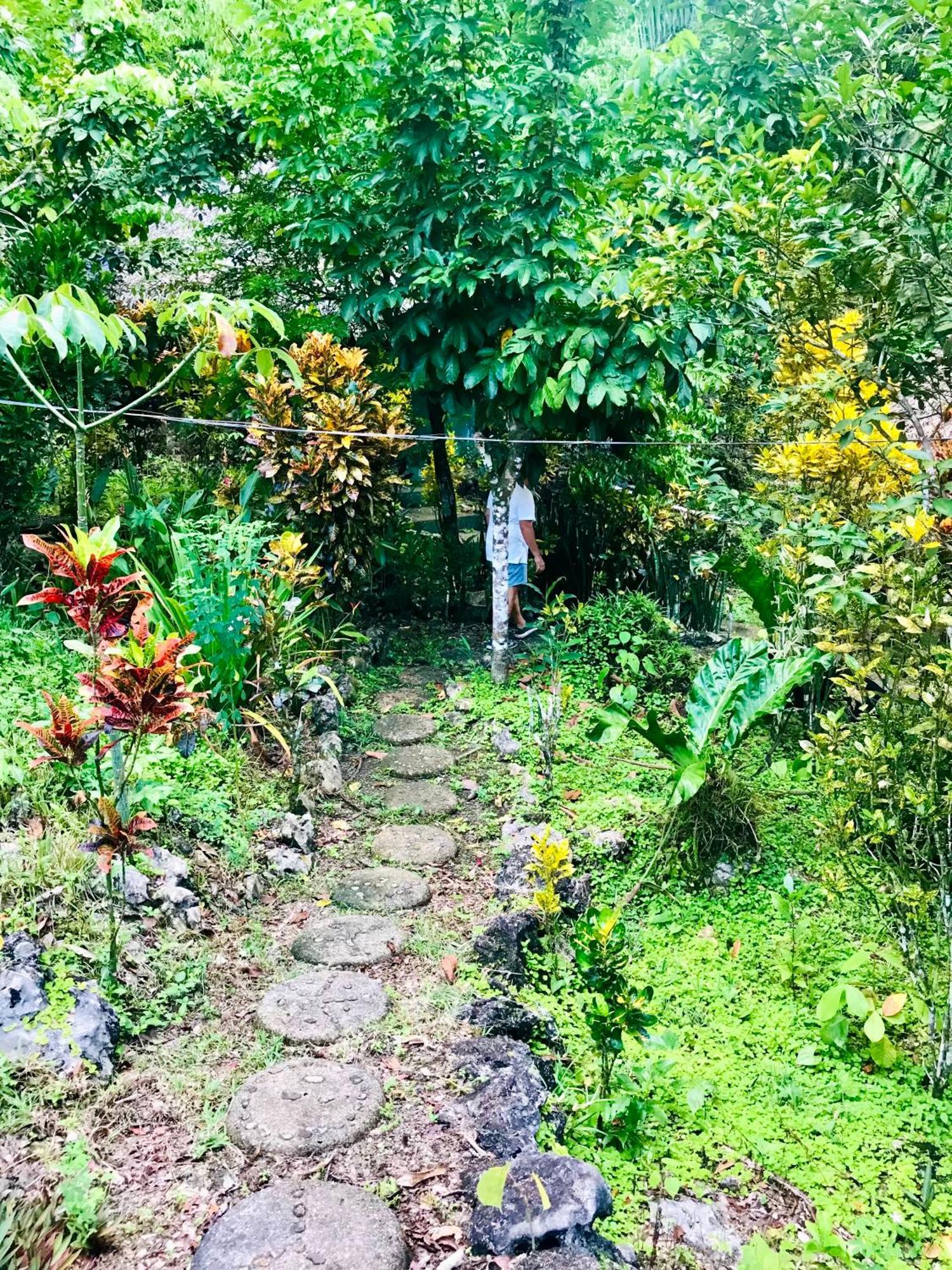 Palmeras Del Rio Hotel La Vina Buitenkant foto