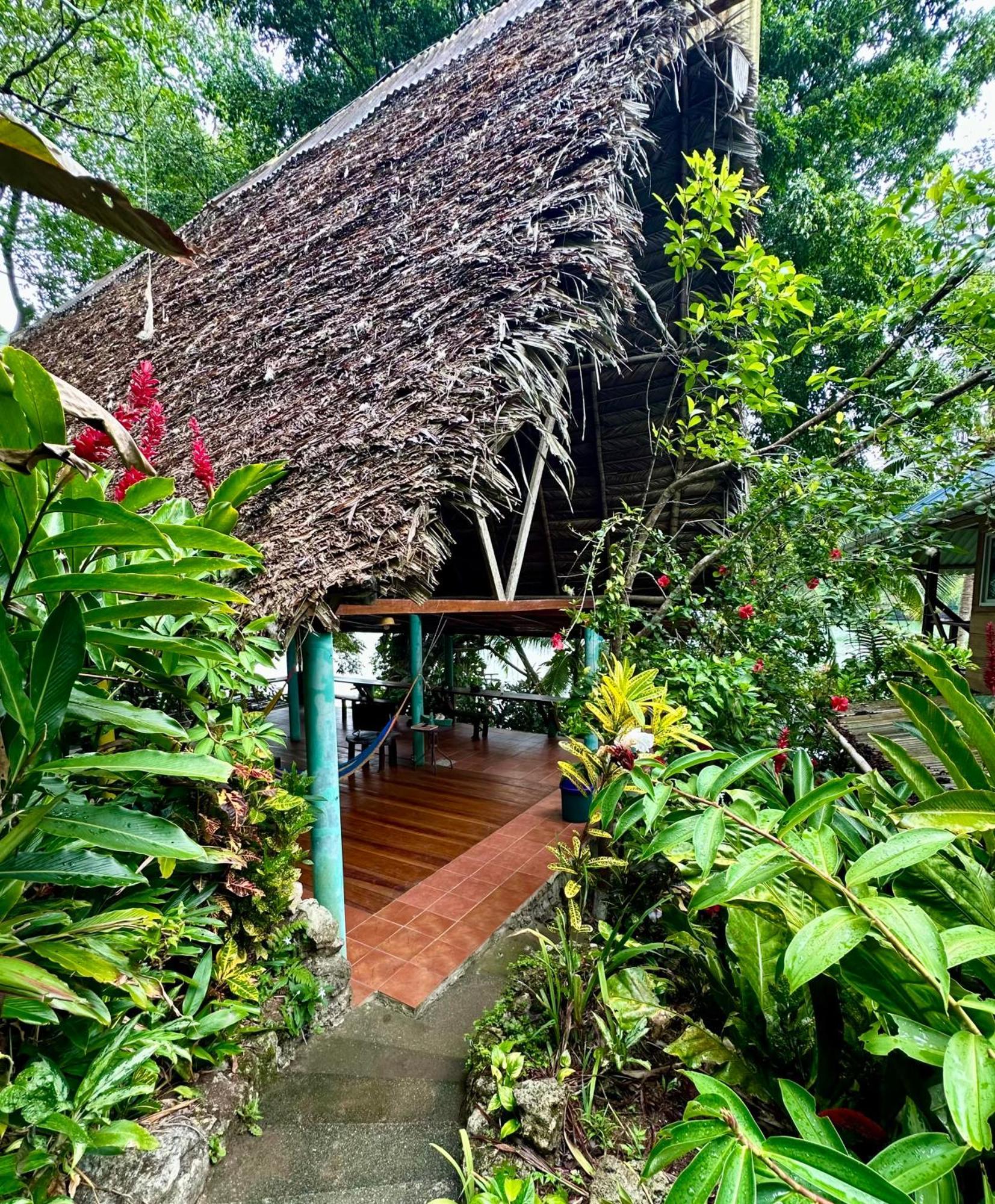 Palmeras Del Rio Hotel La Vina Buitenkant foto
