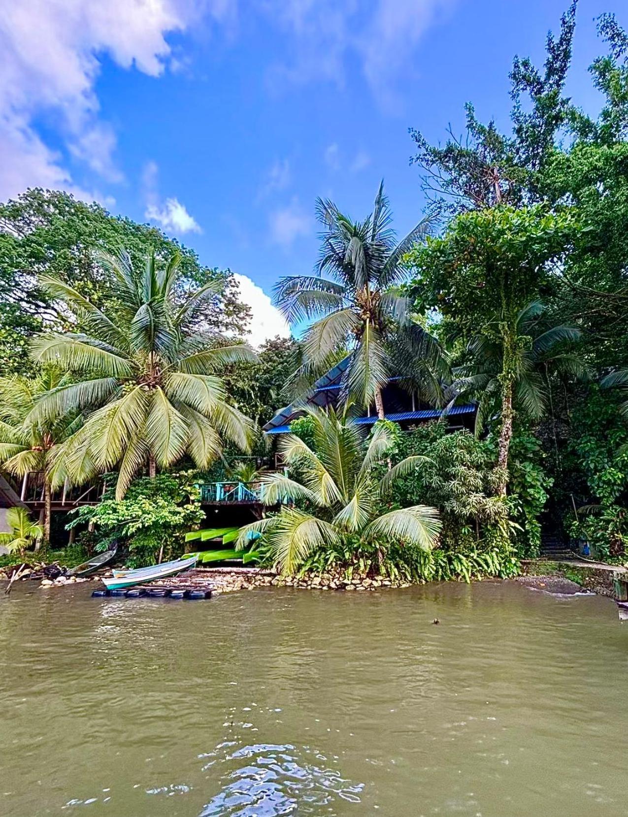 Palmeras Del Rio Hotel La Vina Buitenkant foto