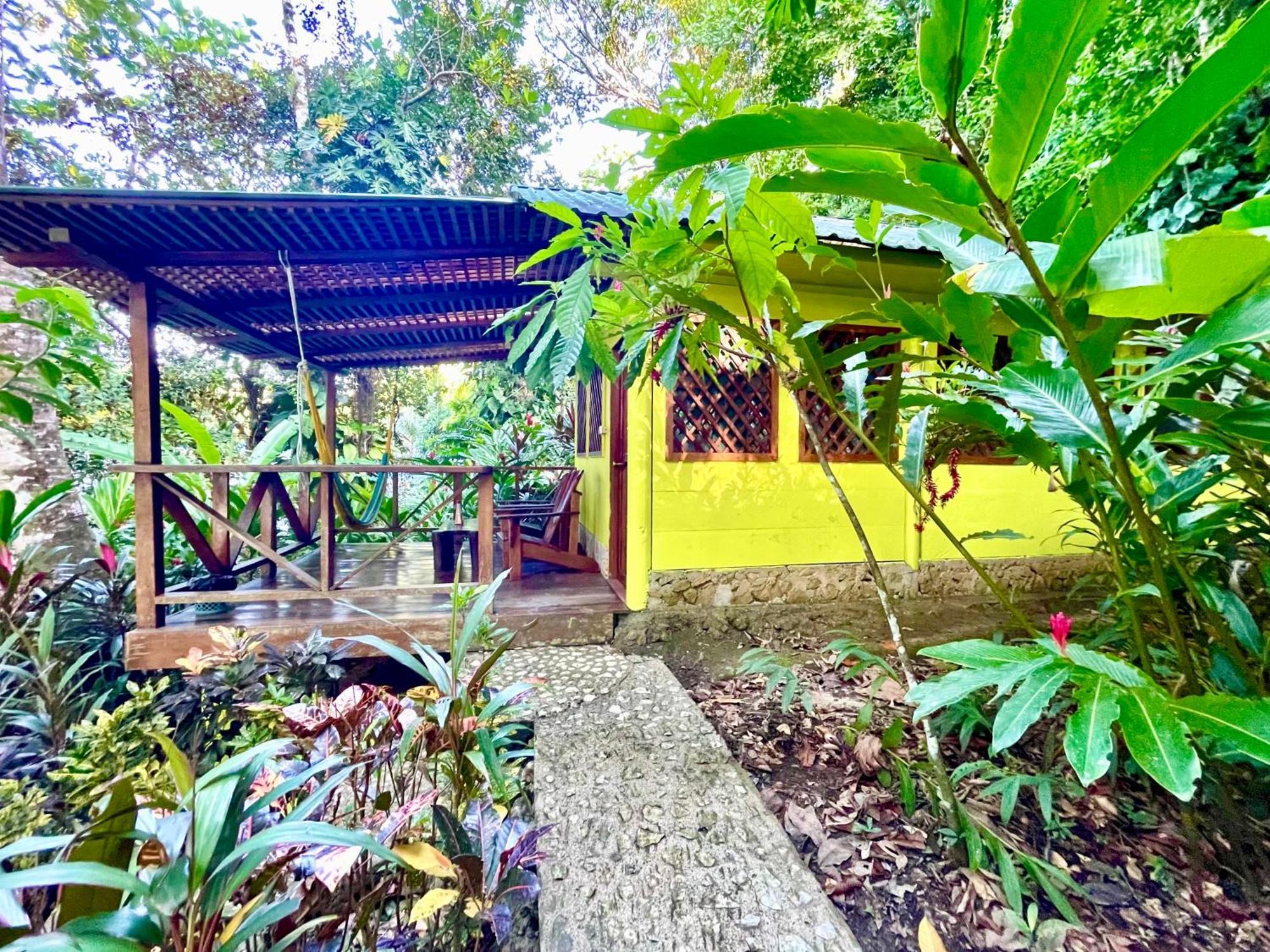 Palmeras Del Rio Hotel La Vina Buitenkant foto