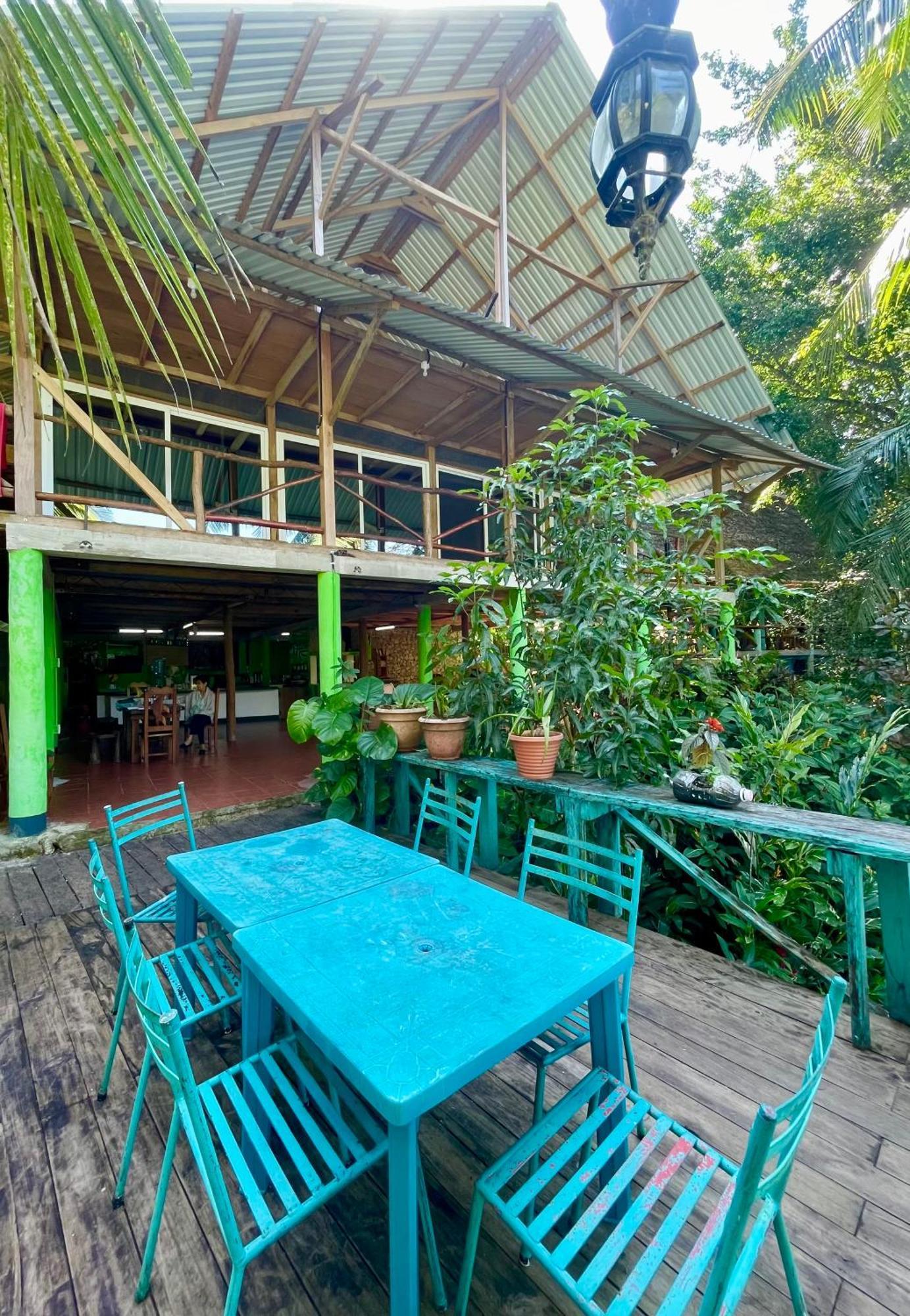 Palmeras Del Rio Hotel La Vina Buitenkant foto